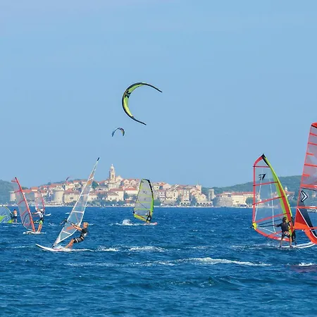 Pet Friendly In With View Viganj